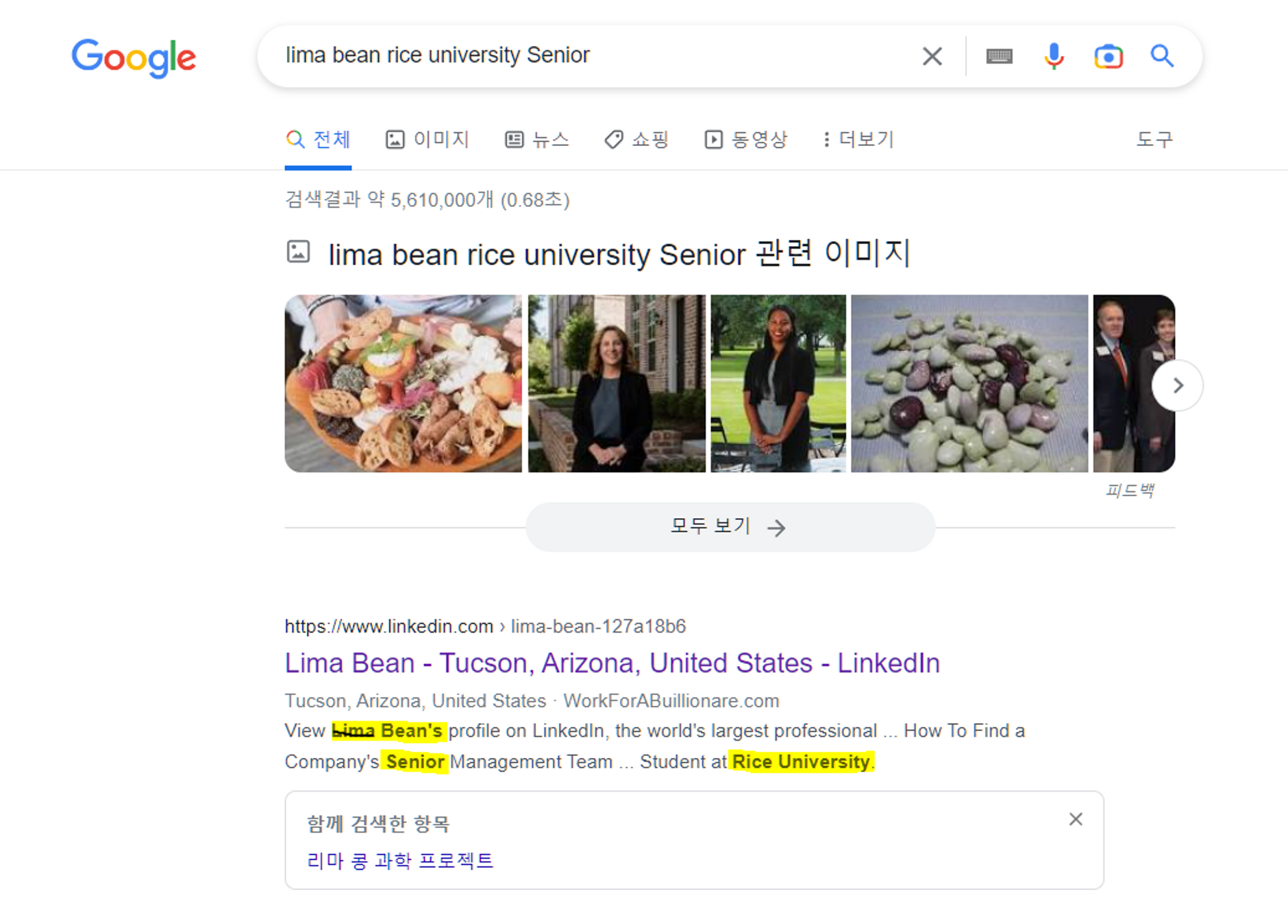 구글 검색을 통해 Lima Bean의 LinkedIn 프로필을 찾음